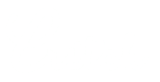 Logo der Firma Critch GmbH