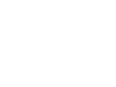Logo der Firma DKI - Die KI Beratung