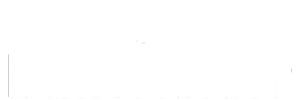 Logo der Firma bulkvision GmbH