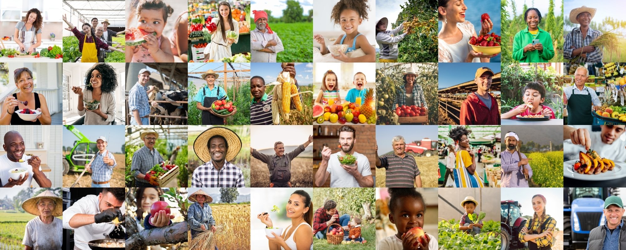 Logo der Firma Farmlovers