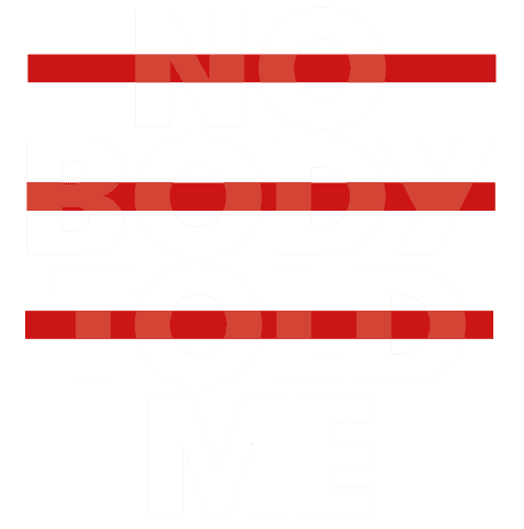Logo der Firma Nobody Told Me