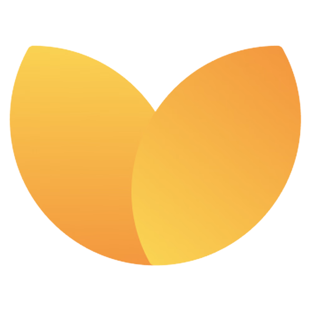 Logo der Firma Soulfi GmbH