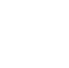 Logo der Firma Soundskills UG