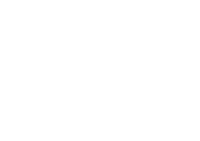 Logo der Firma StrassenBLUES e.V.