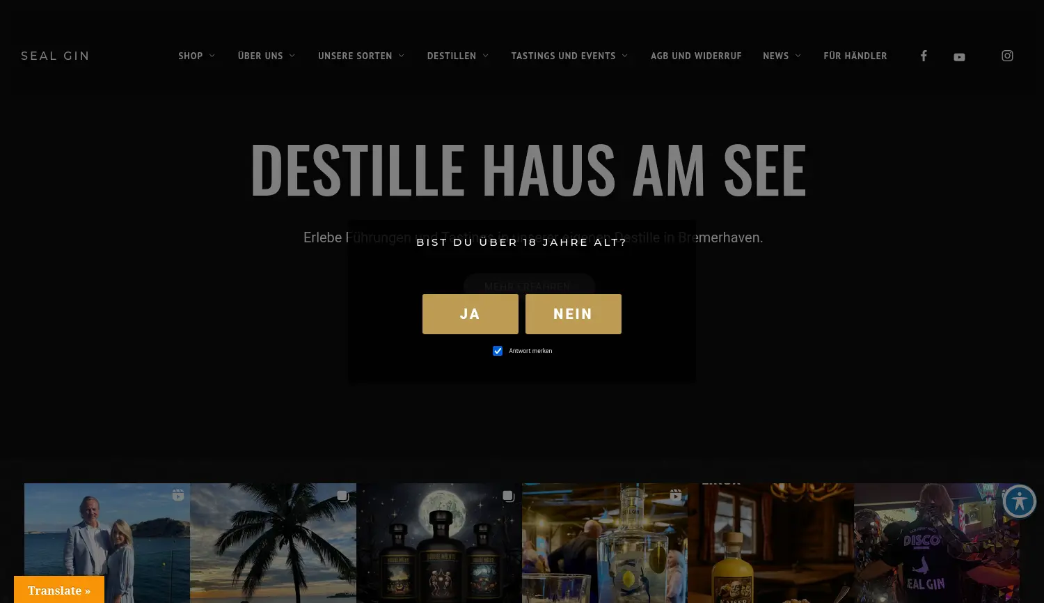 Website der Firma DMI GmbH