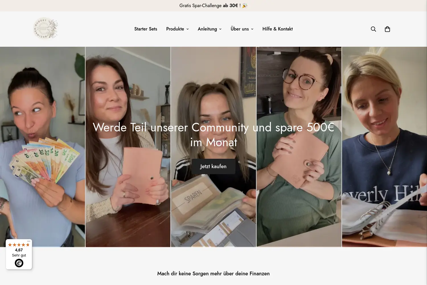 Website der Firma BeginnerBudget