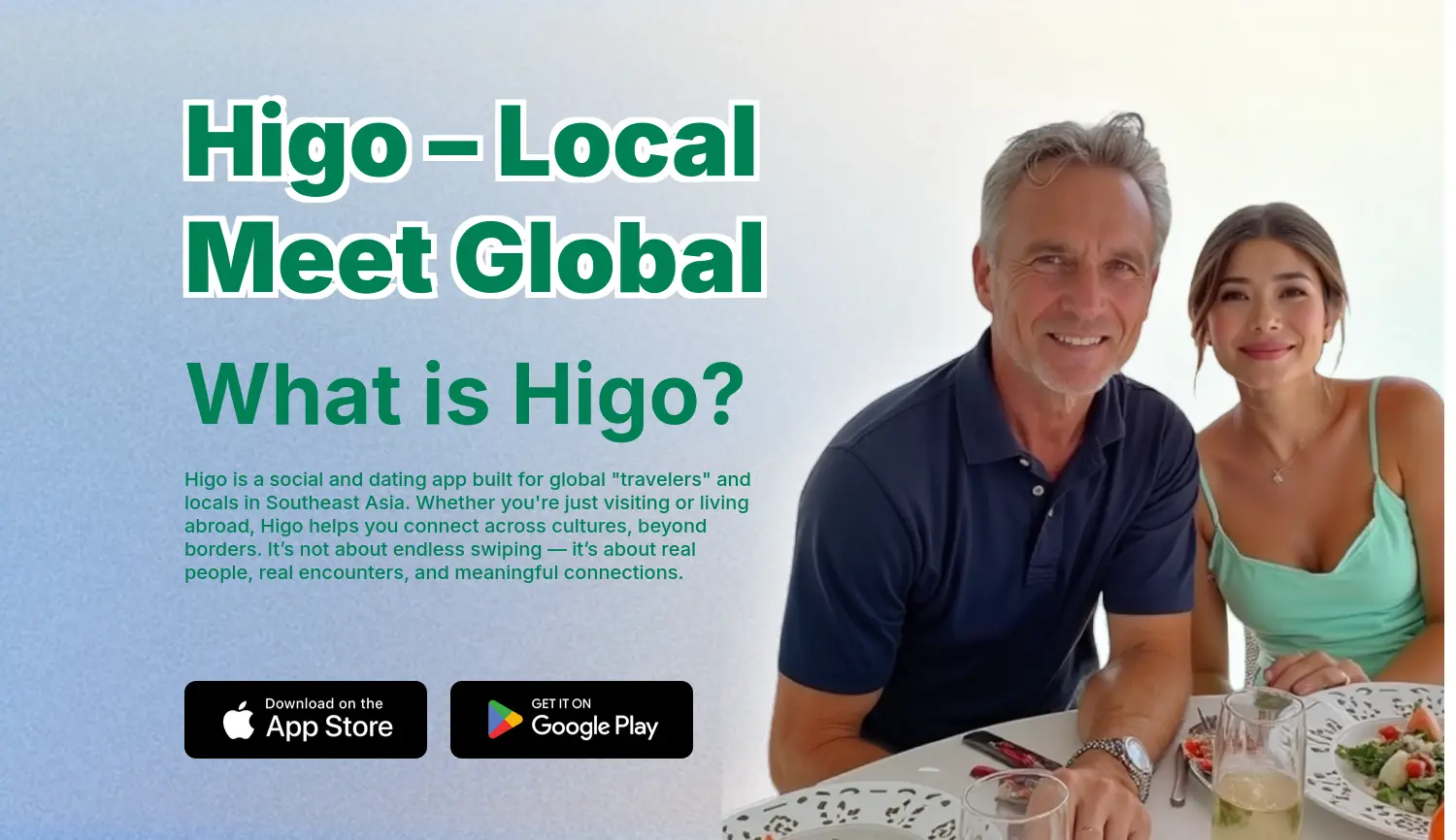 Website der Firma Higo