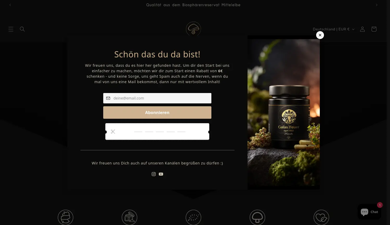 Website der Firma Fungaia