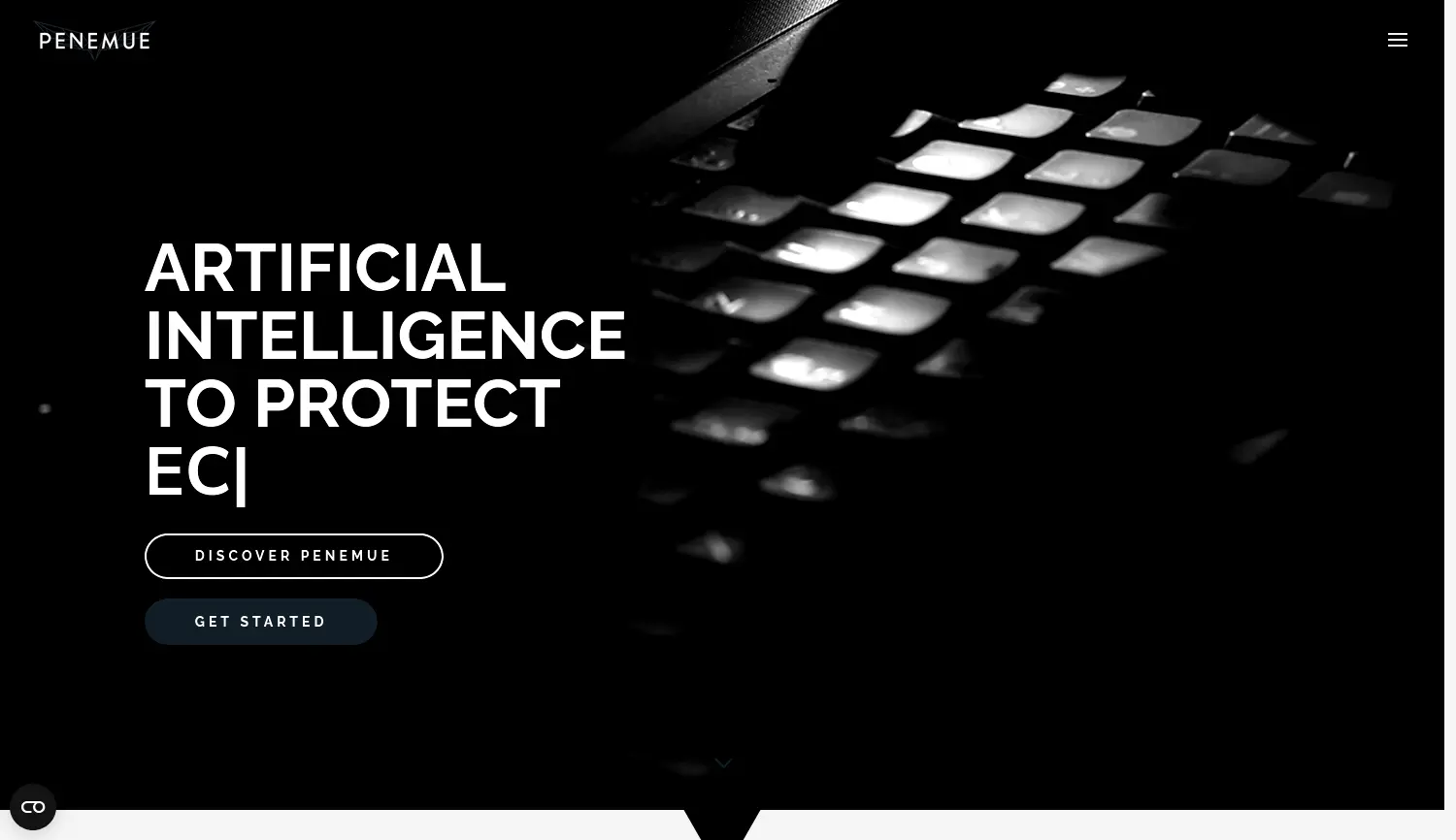 Website der Firma PENEMUE