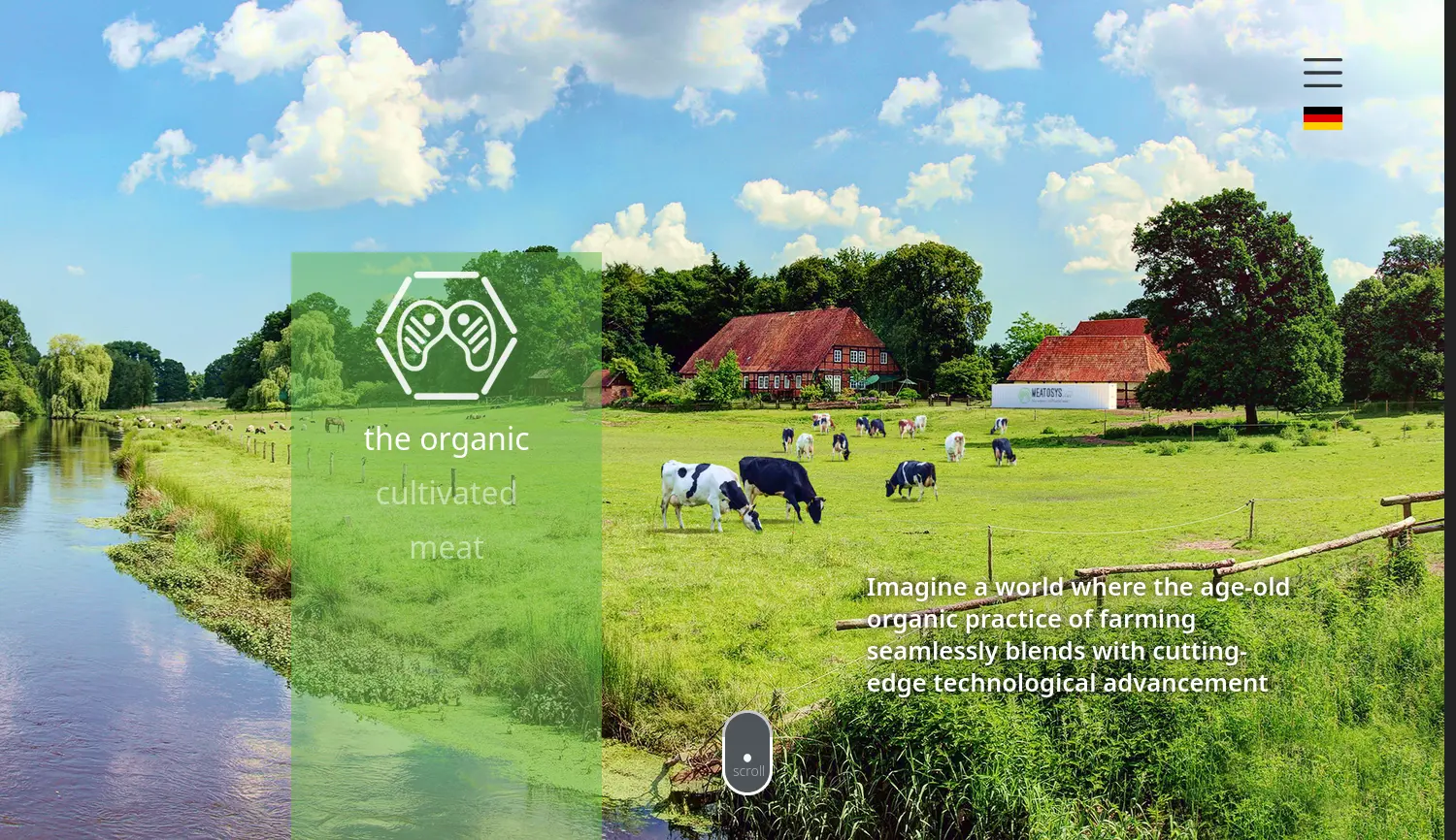 Website der Firma MEATOSYS GmbH