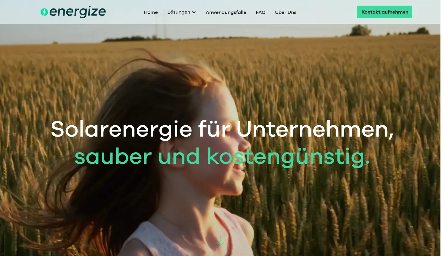 Website der Firma Energize