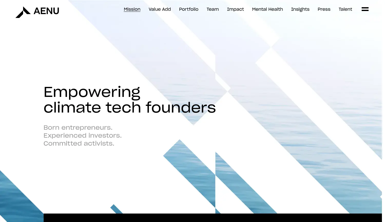 Website der Firma AENU Management GmbH