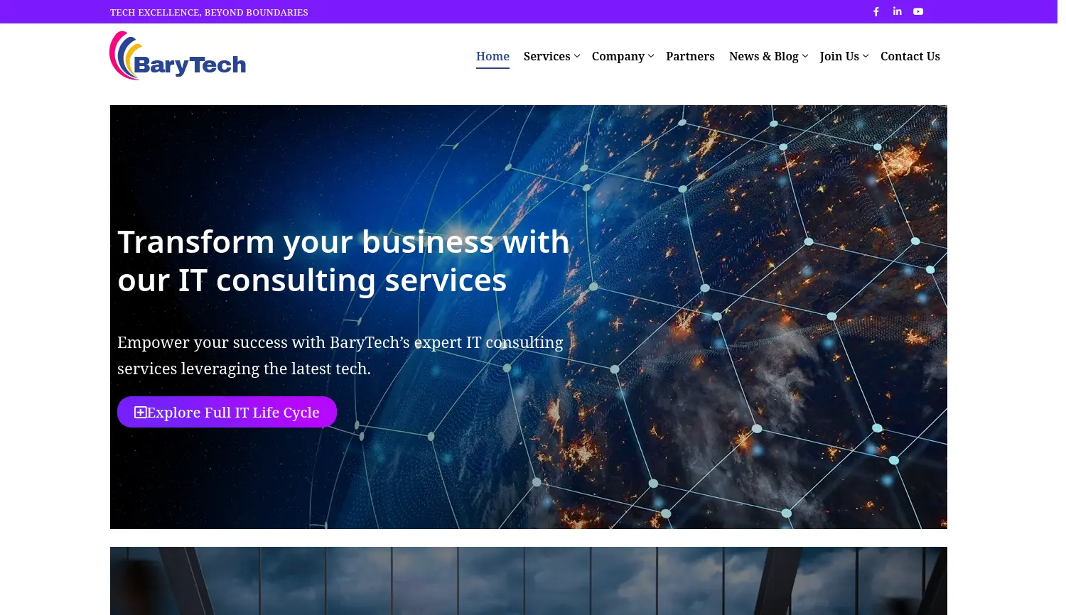 Website der Firma BaryTech