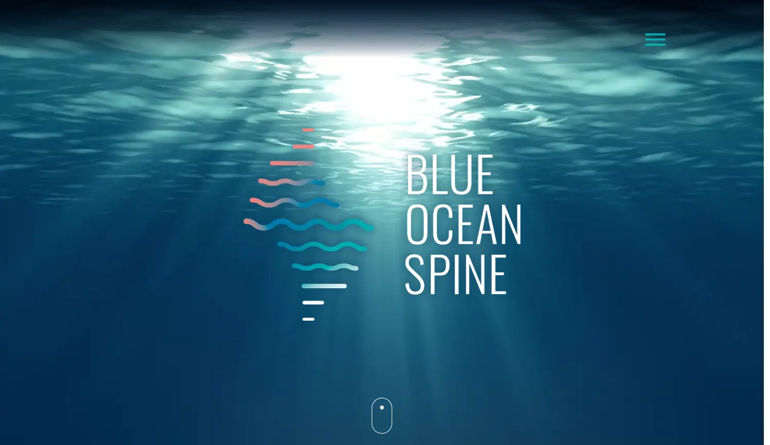 Website der Firma Blue Ocean Spine GmbH