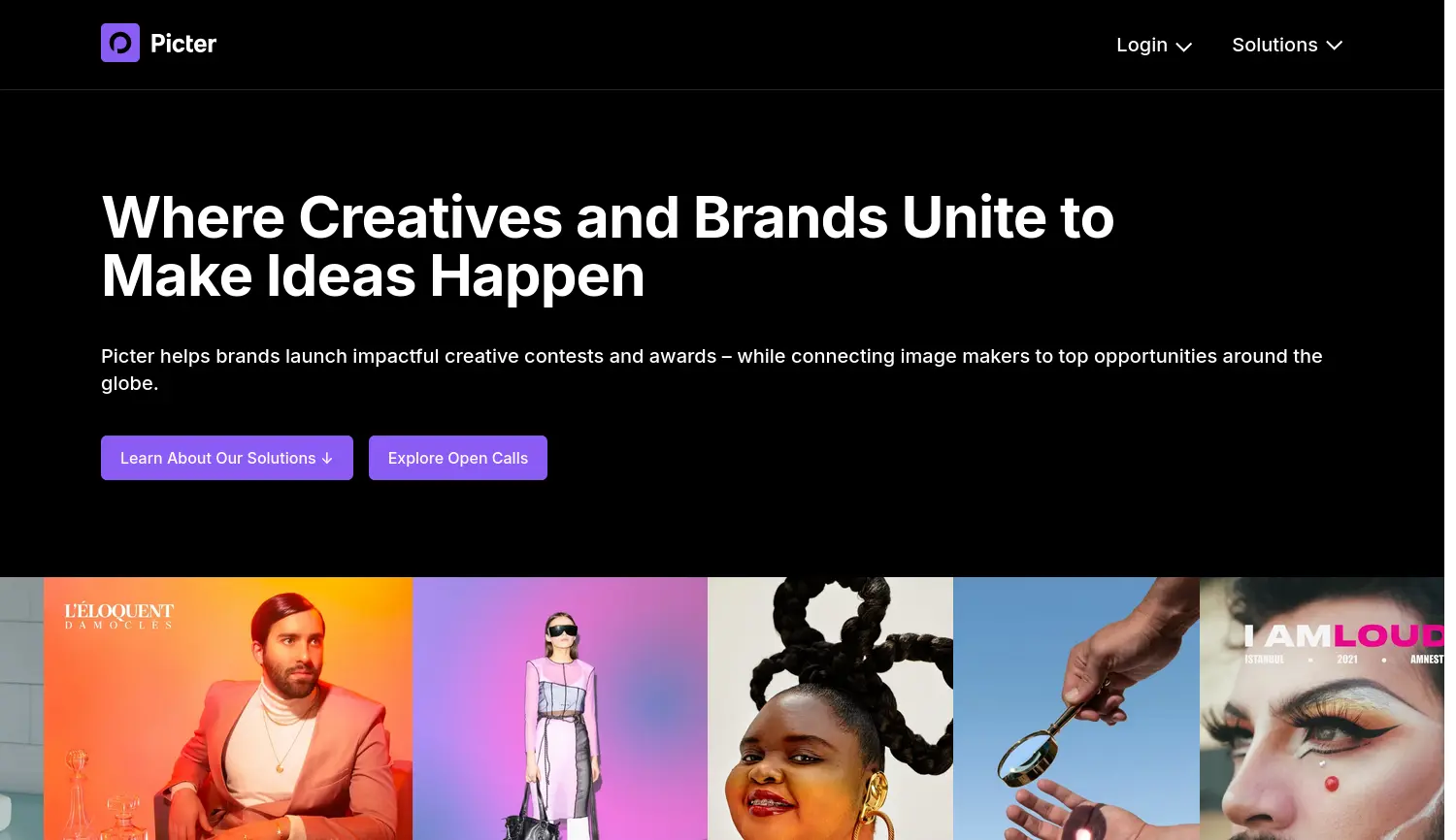 Website der Firma Picter