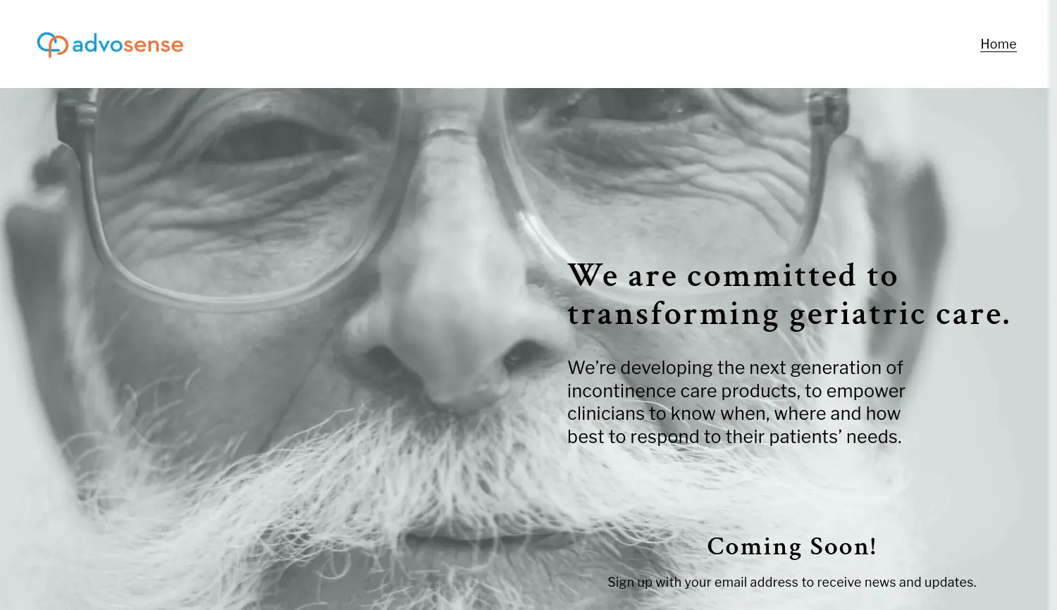 Website der Firma Advosense GmbH