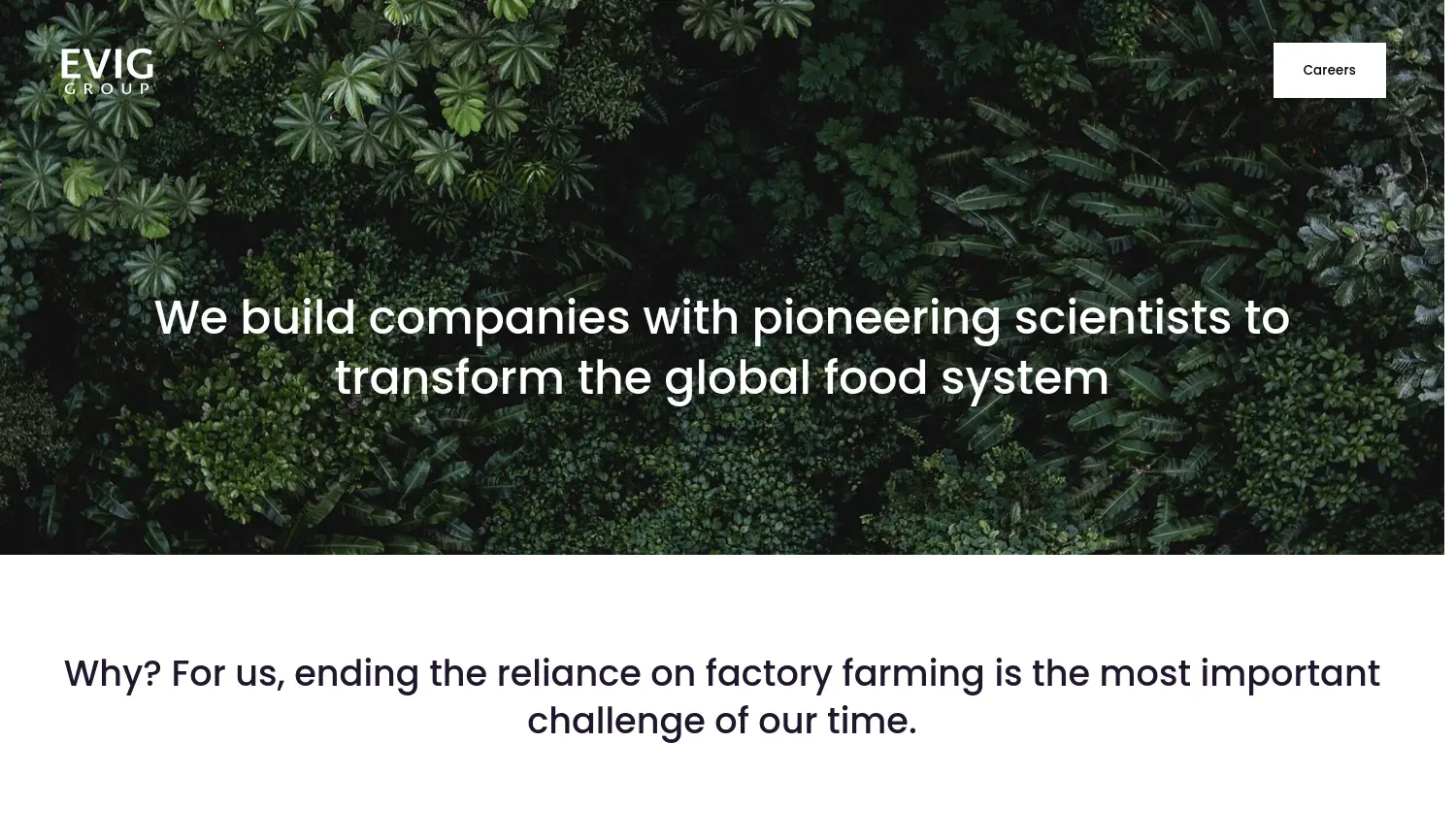 Website der Firma EVIG GmbH