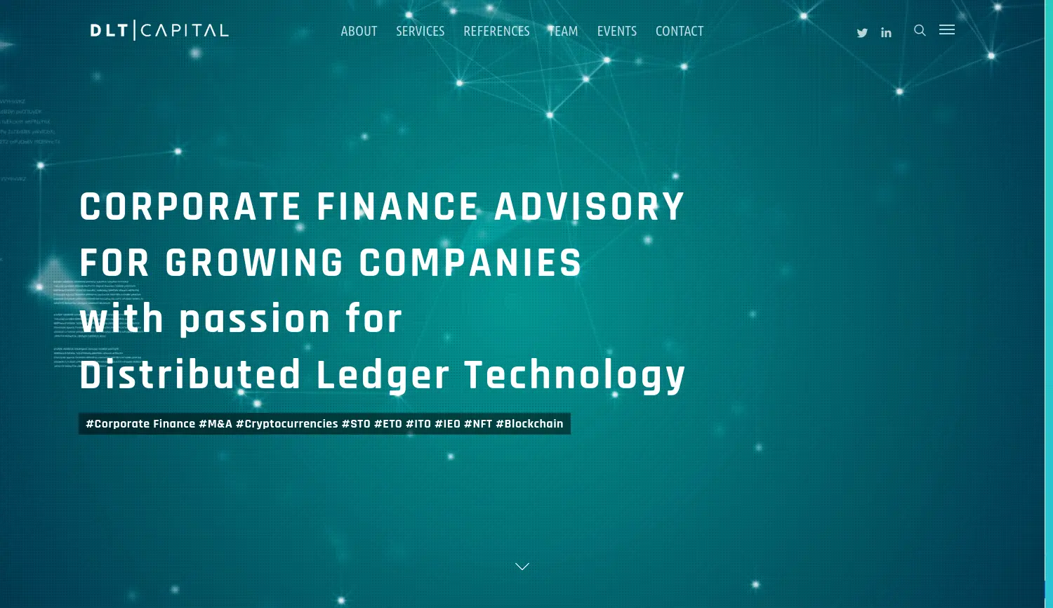 Website der Firma DLT Capital GmbH