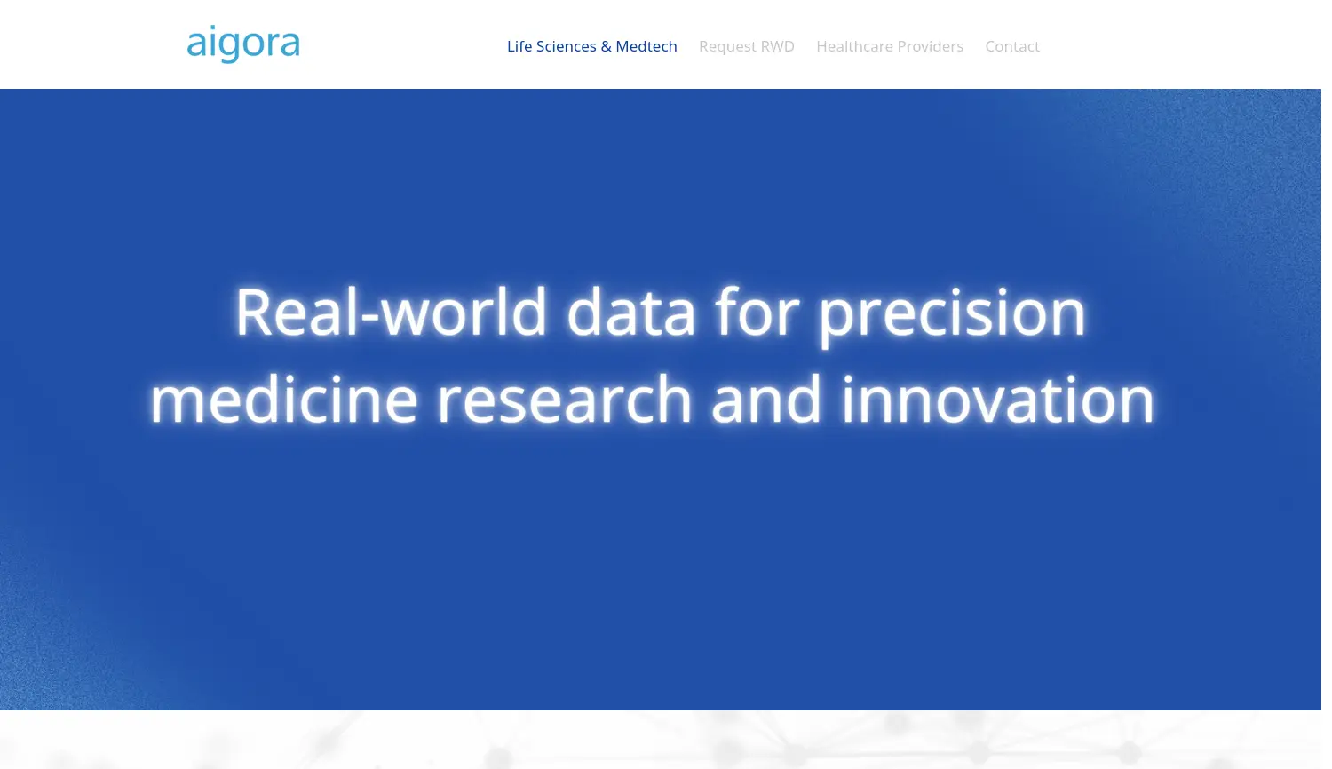 Website der Firma Aigora