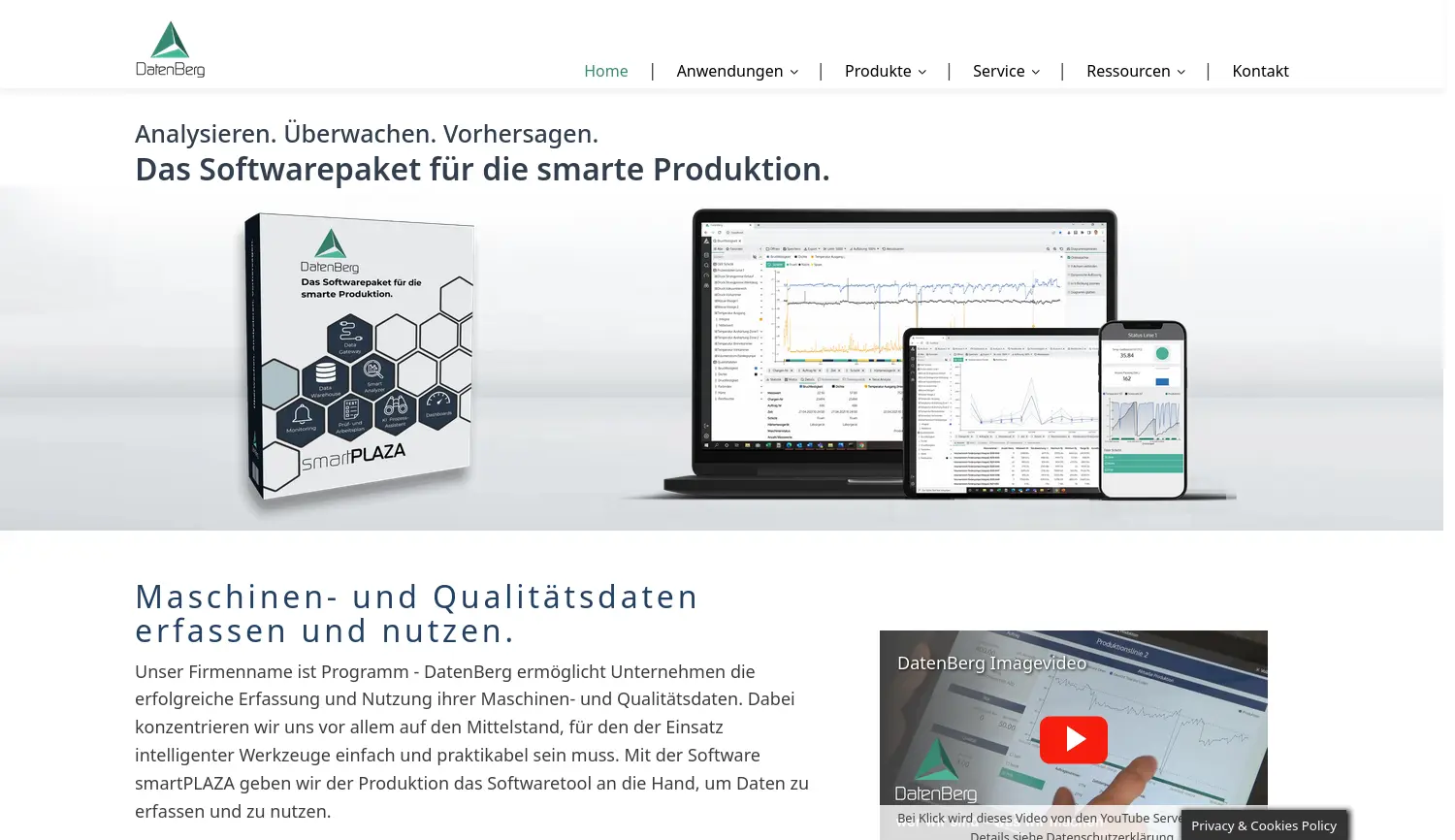 Website der Firma DatenBerg GmbH