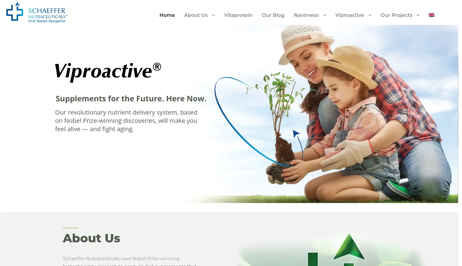 Website der Firma Proto Global GmbH