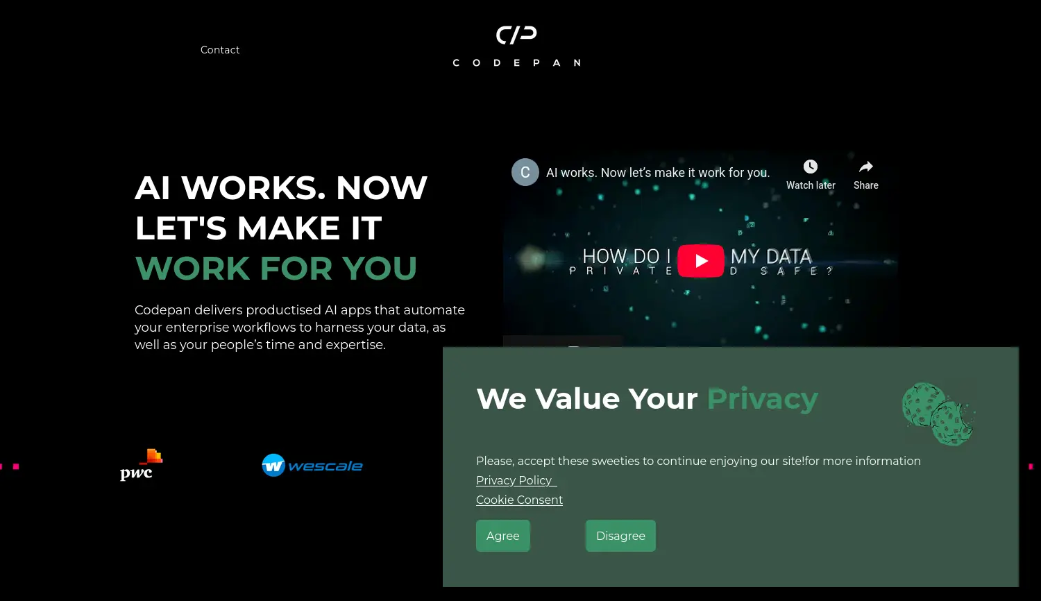 Website der Firma Codepan GmbH