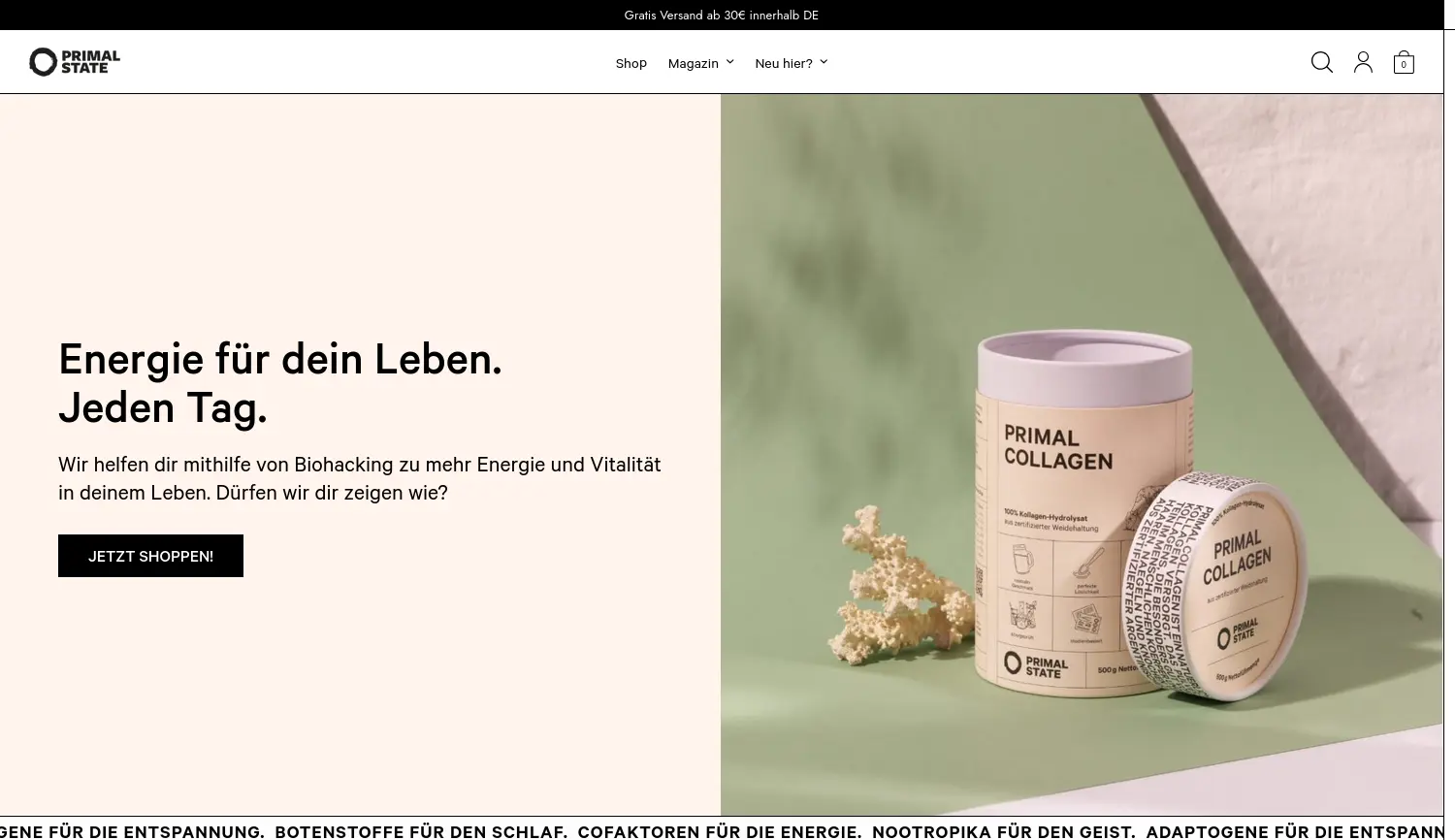 Website der Firma Primal State GmbH