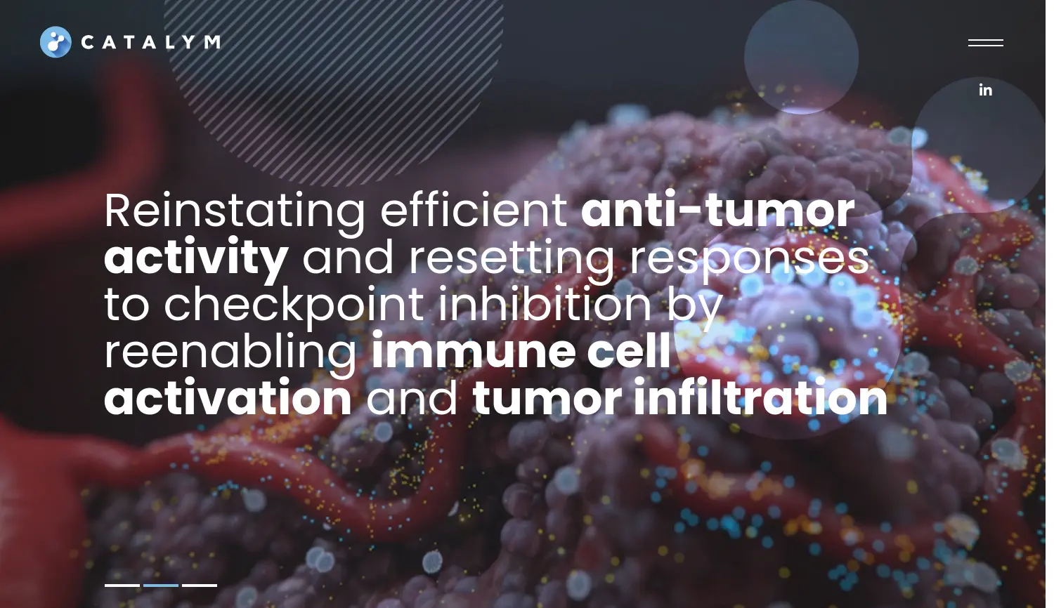 Website der Firma CatalYm GmbH