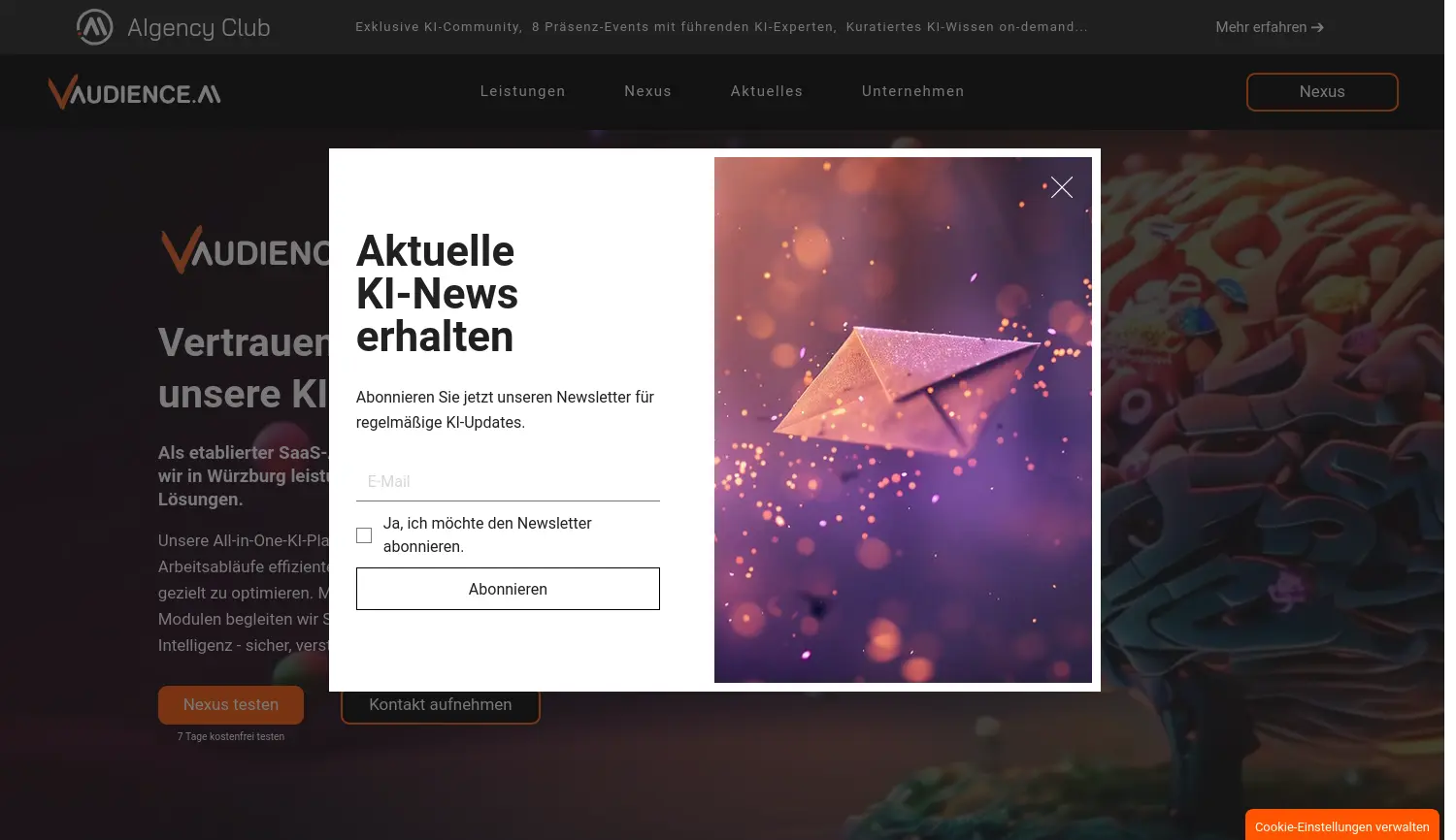 Website der Firma vAudience GmbH