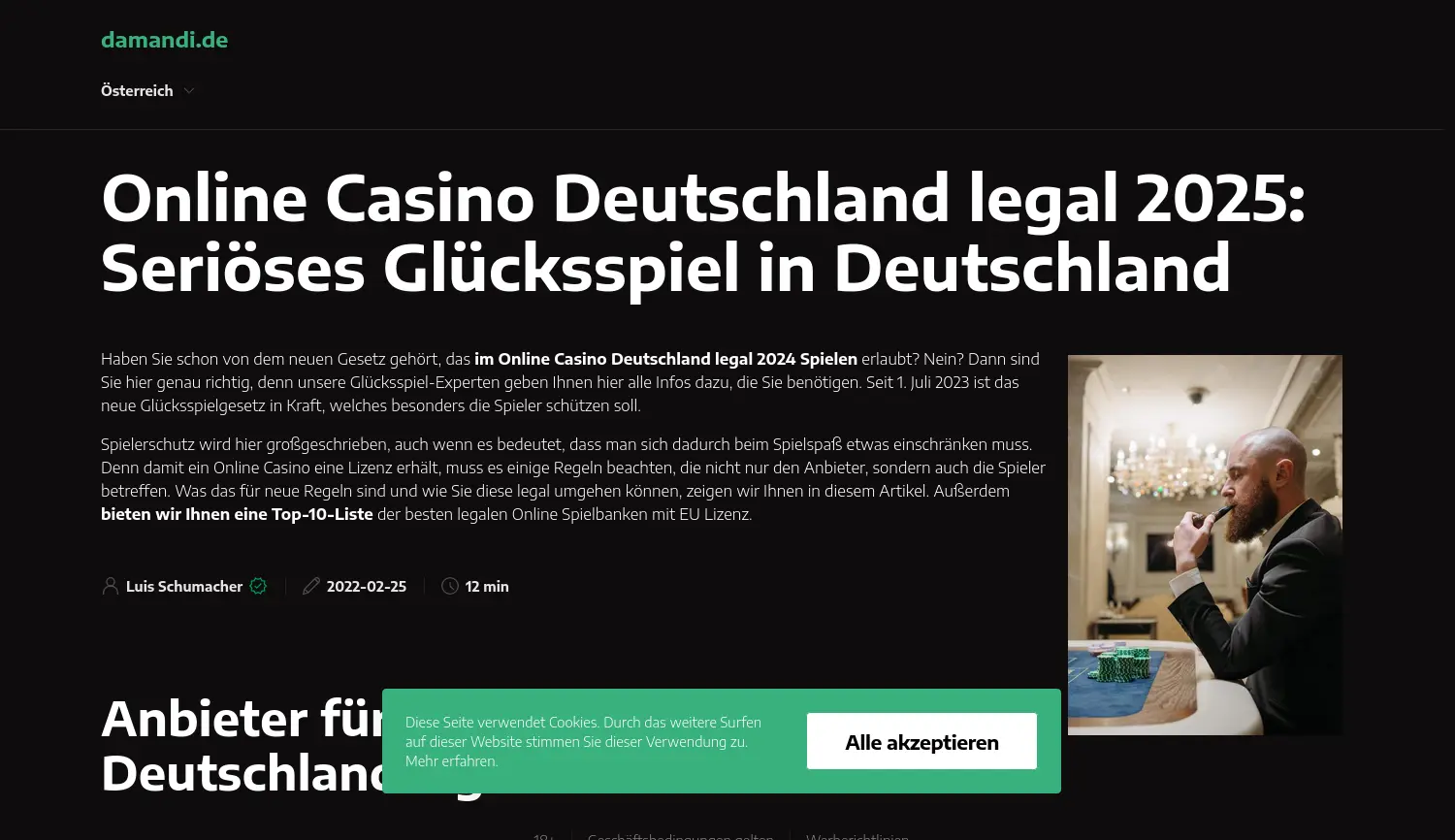 Website der Firma damandi.de