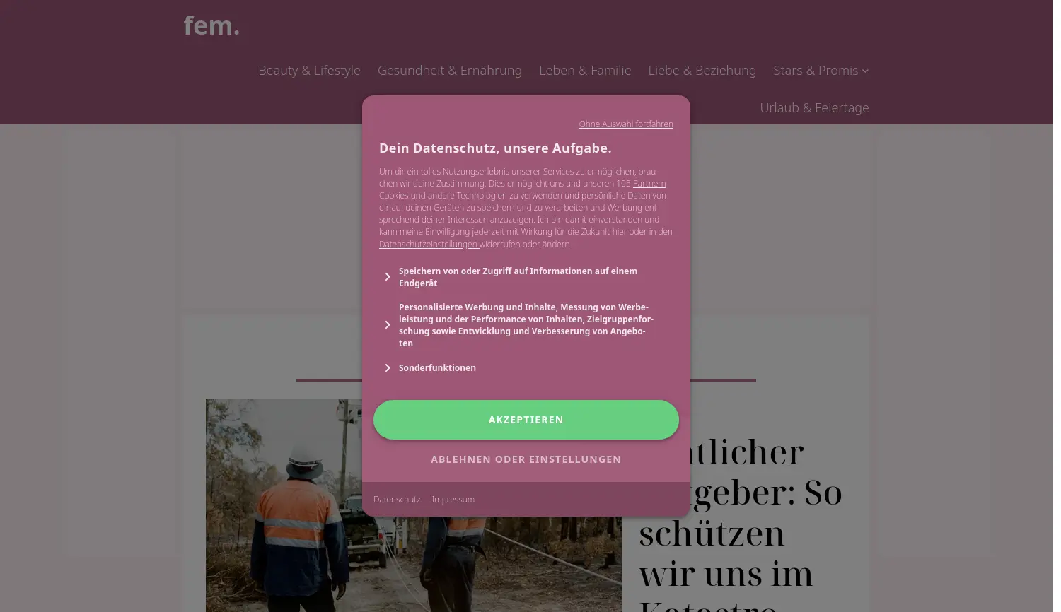 Website der Firma fem Media GmbH