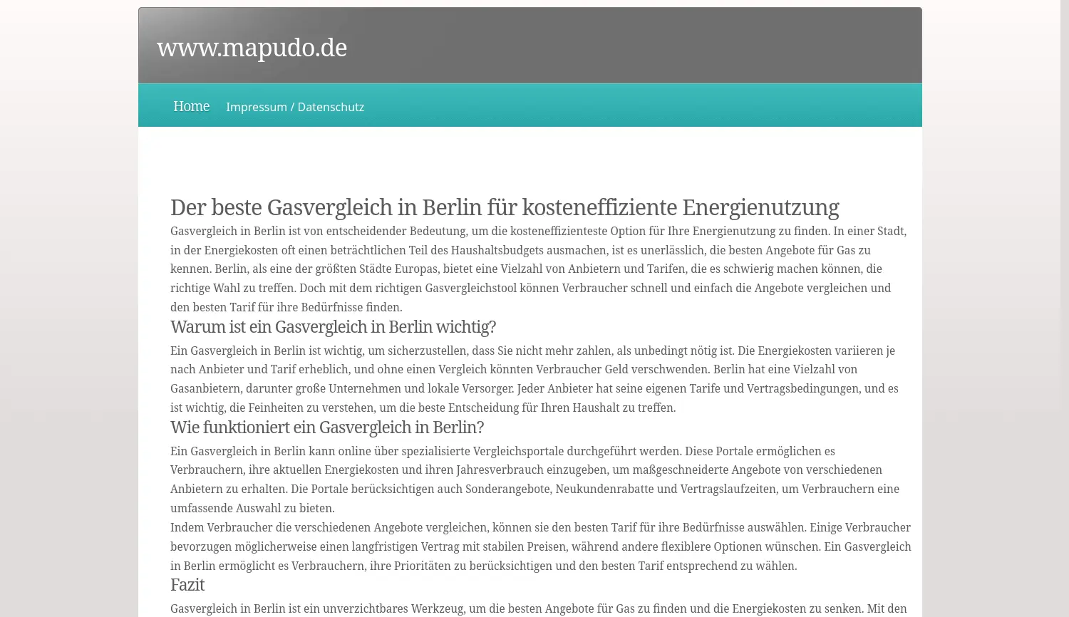 Website der Firma Mapudo