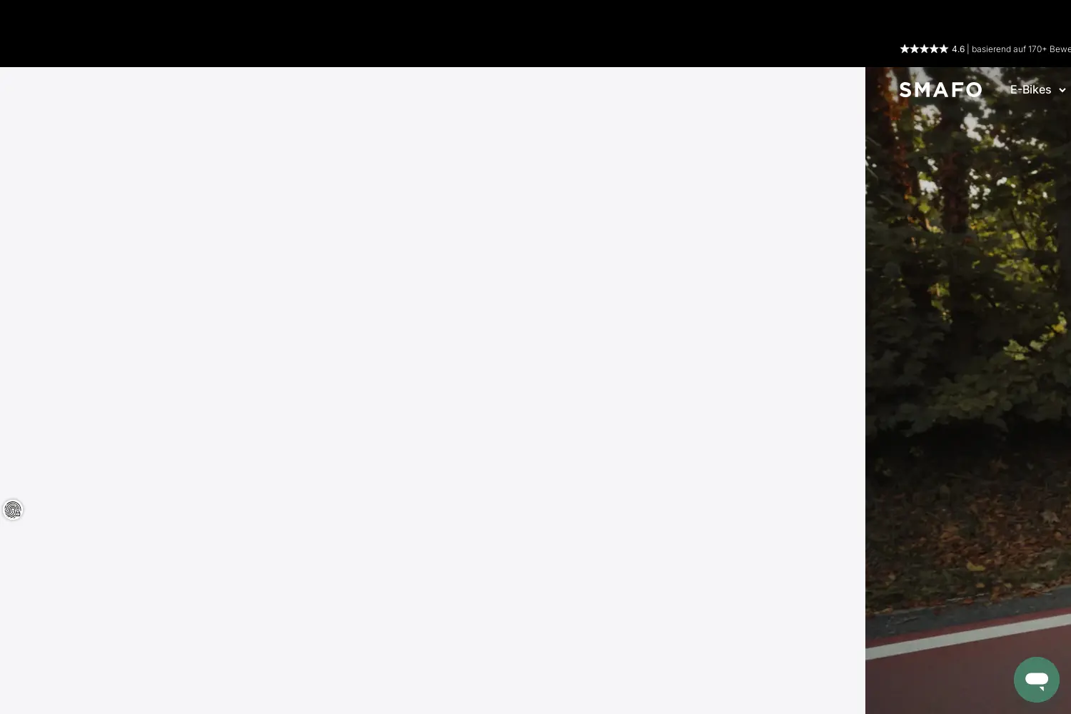 Website der Firma smafo GmbH