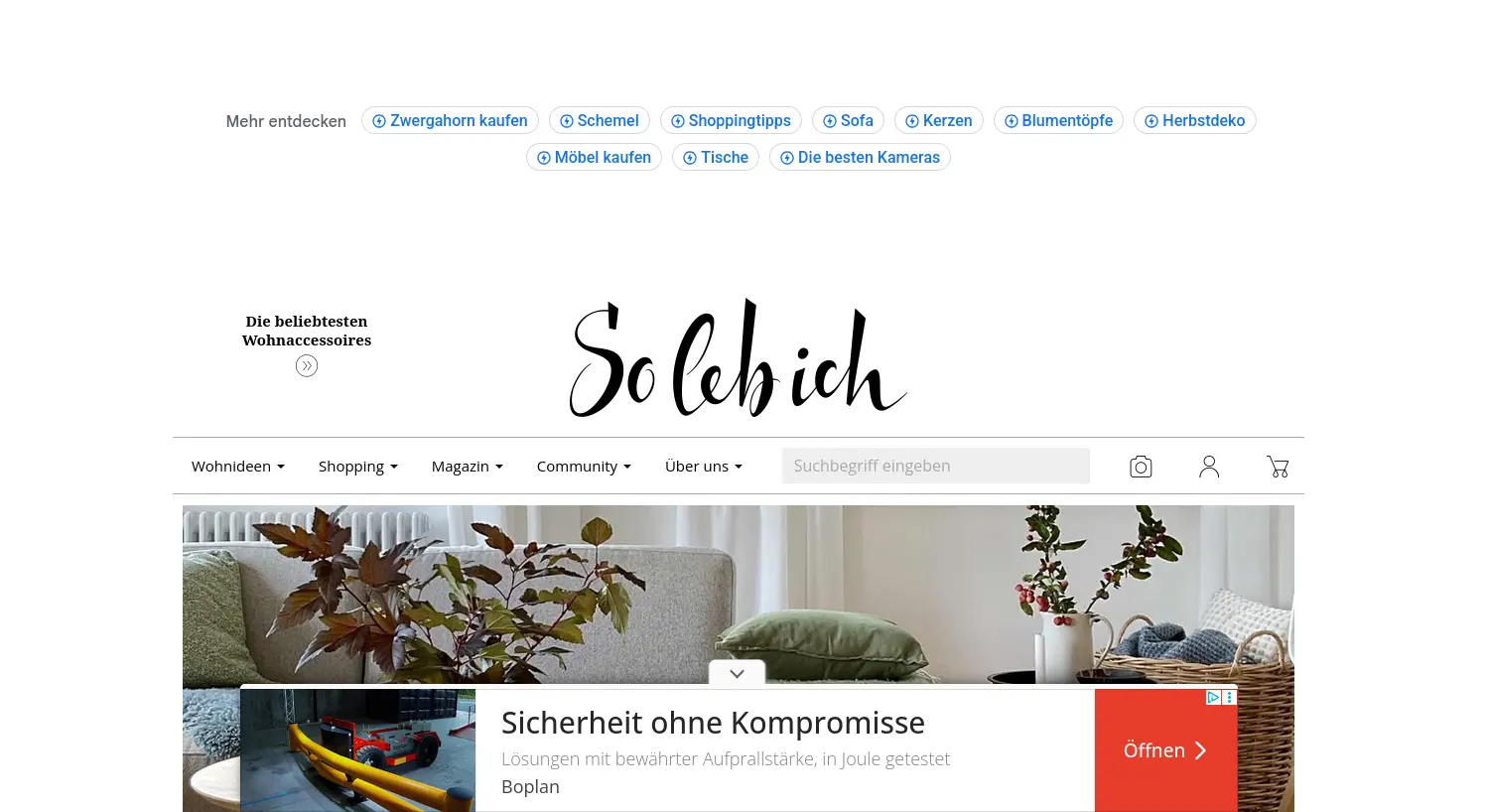 Website der Firma SoLebIch
