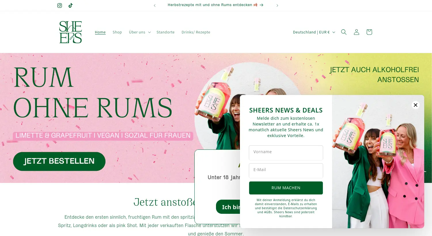 Website der Firma Sheers TL GmbH