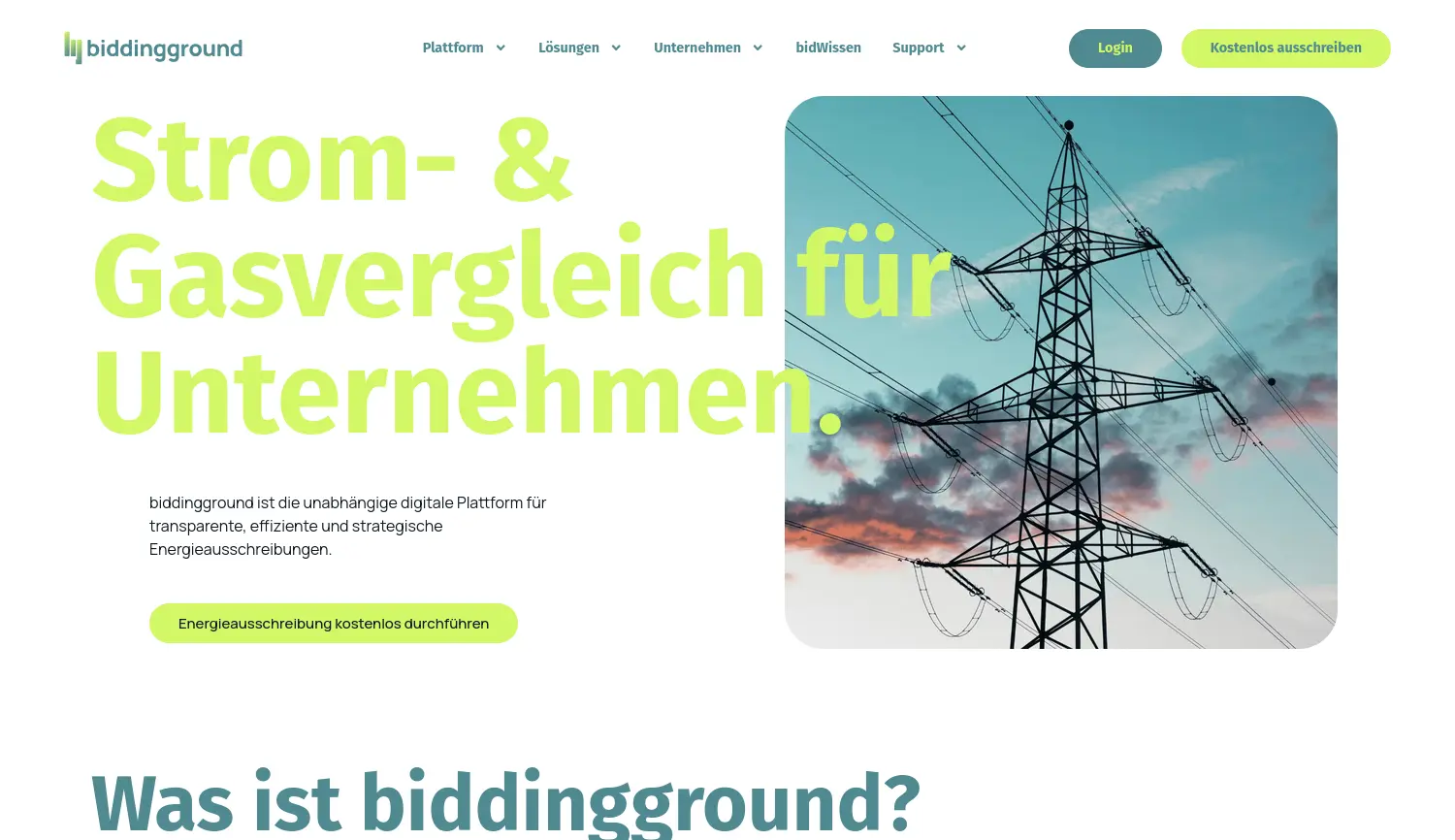 Website der Firma biddingground Deutschland GmbH