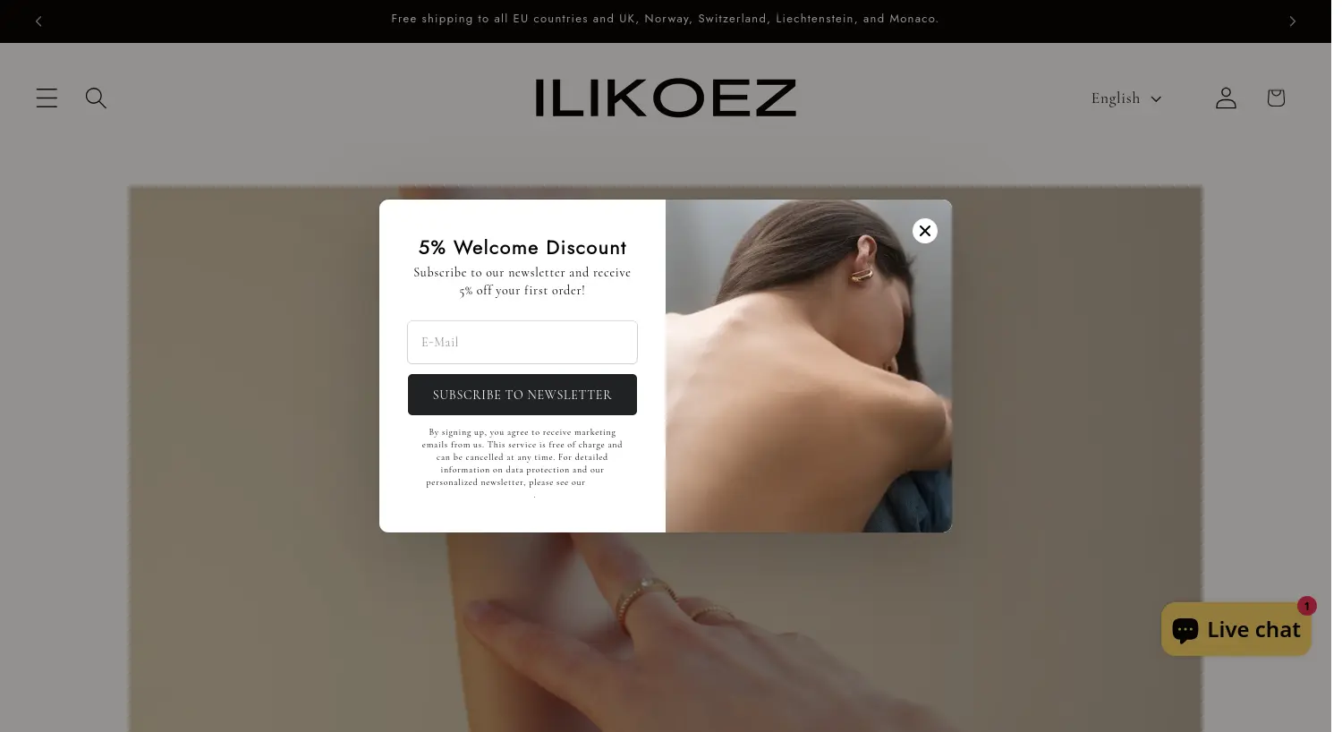 Website der Firma Dilek Iliköz