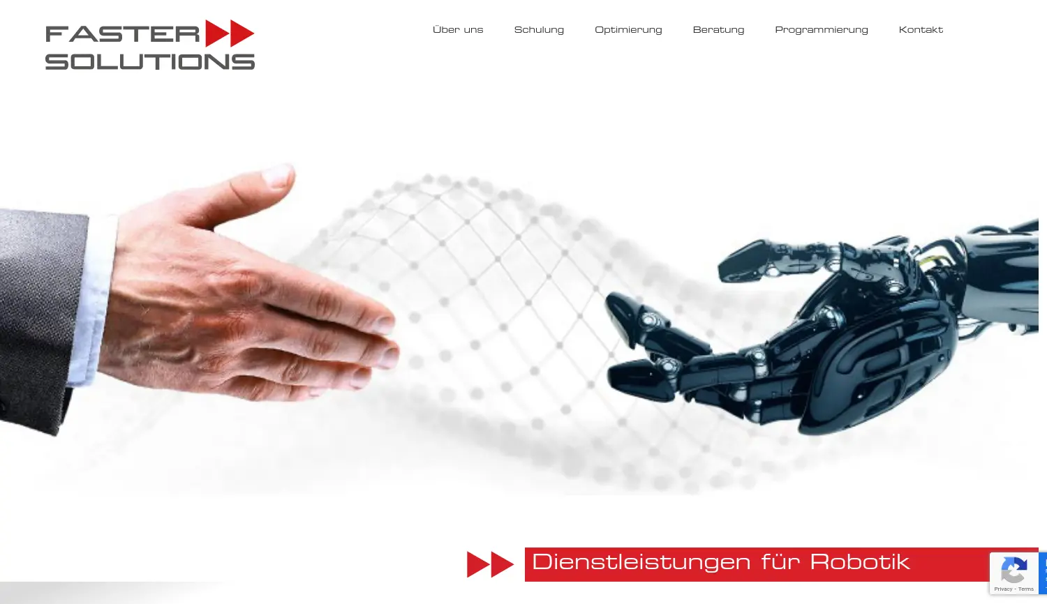 Website der Firma Faster Solutions GmbH