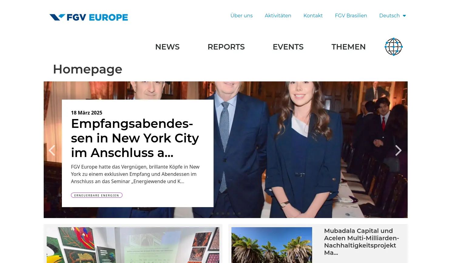 Website der Firma FGV Europe