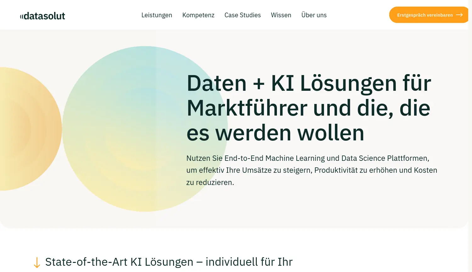 Website der Firma Datasolut GmbH