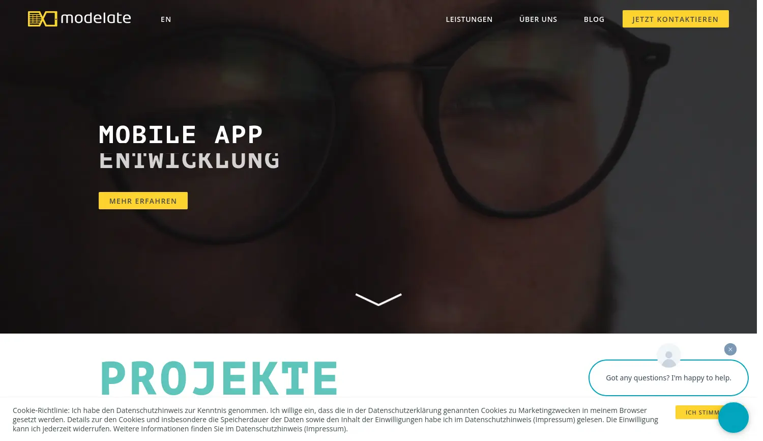 Website der Firma Modelate