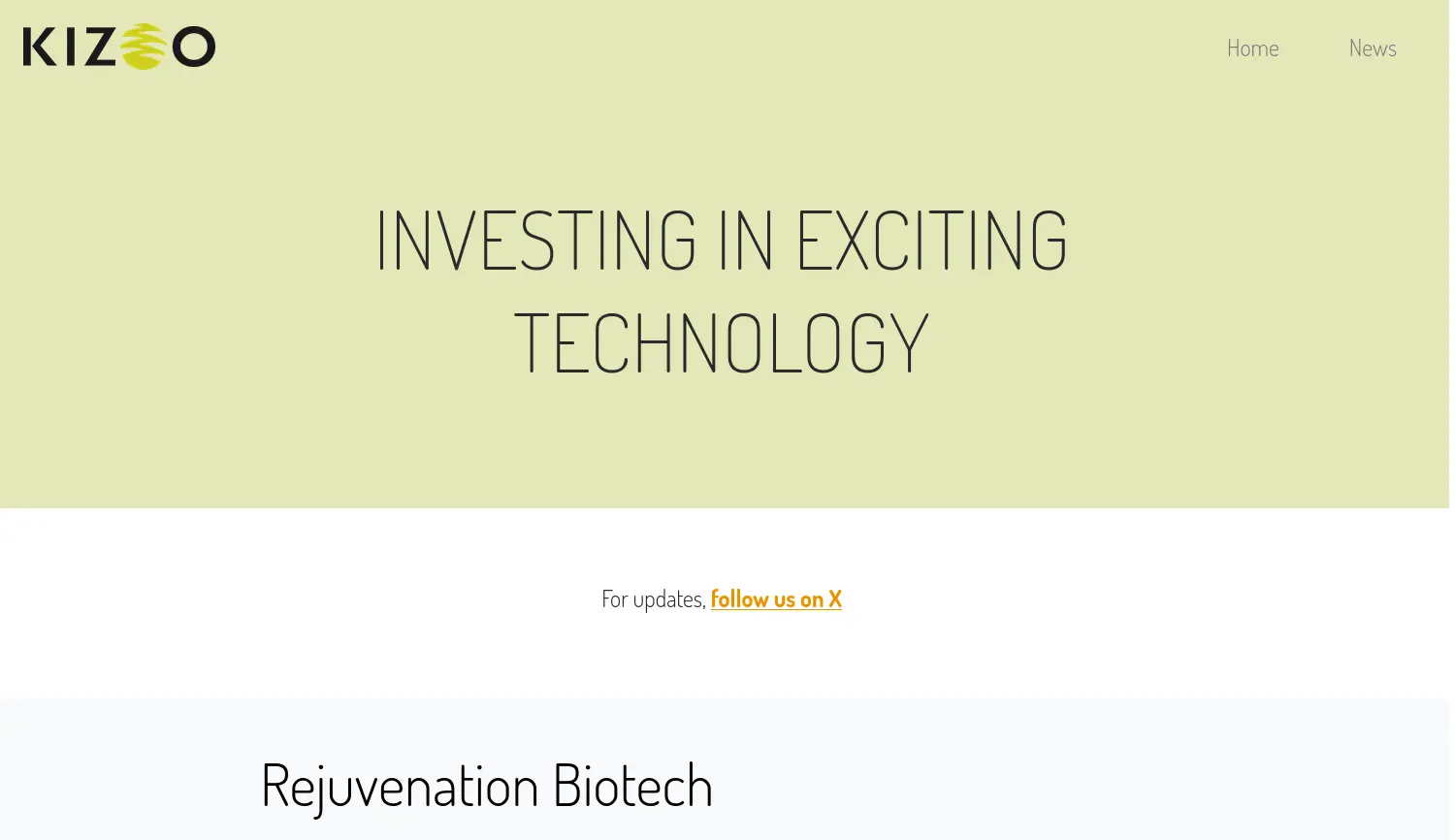 Website der Firma KIZOO Technology Capital GmbH