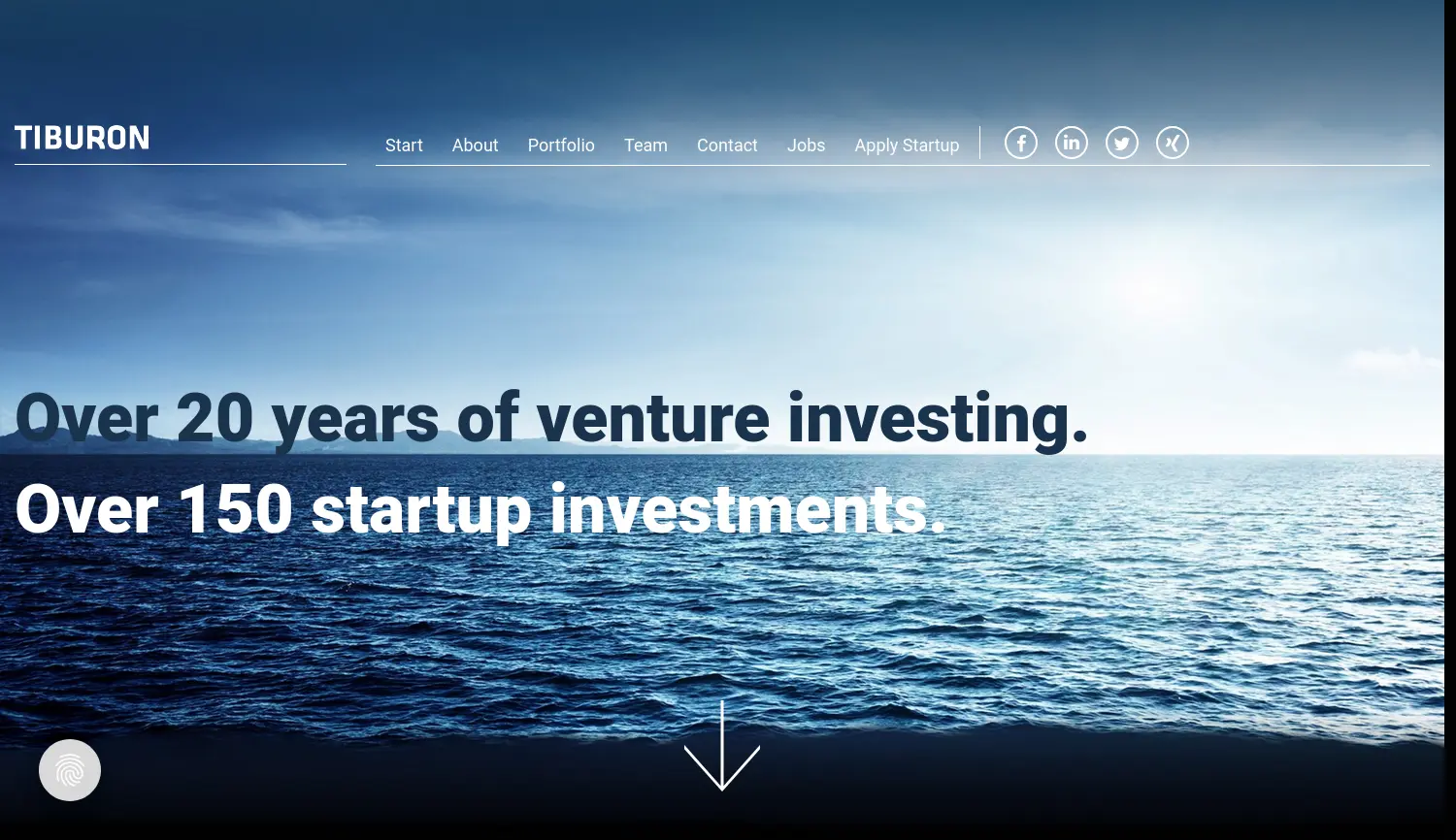 Website der Firma Tiburon Unternehmensaufbau GmbH