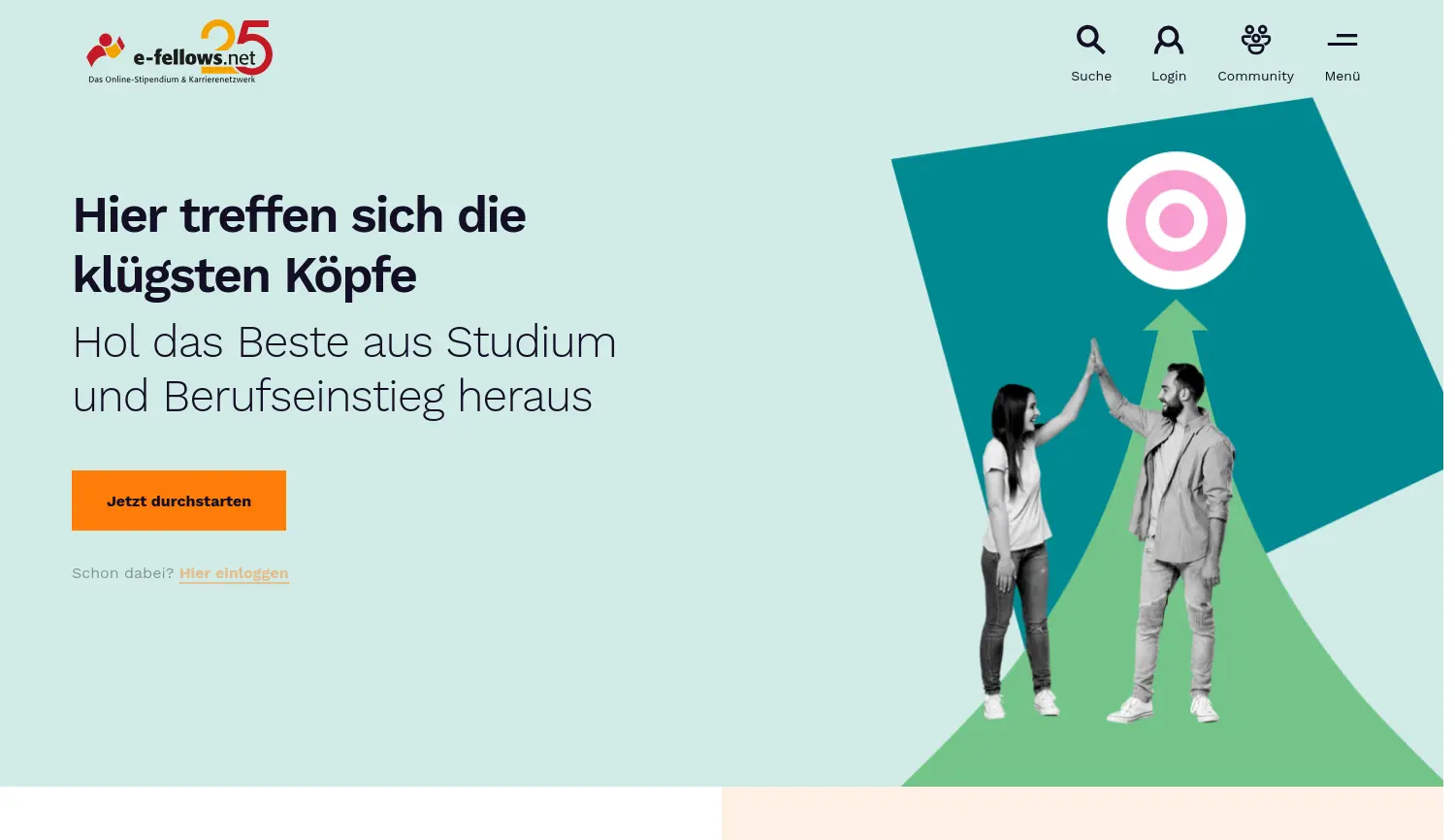 Website der Firma e-fellows.net GmbH & Co. KG