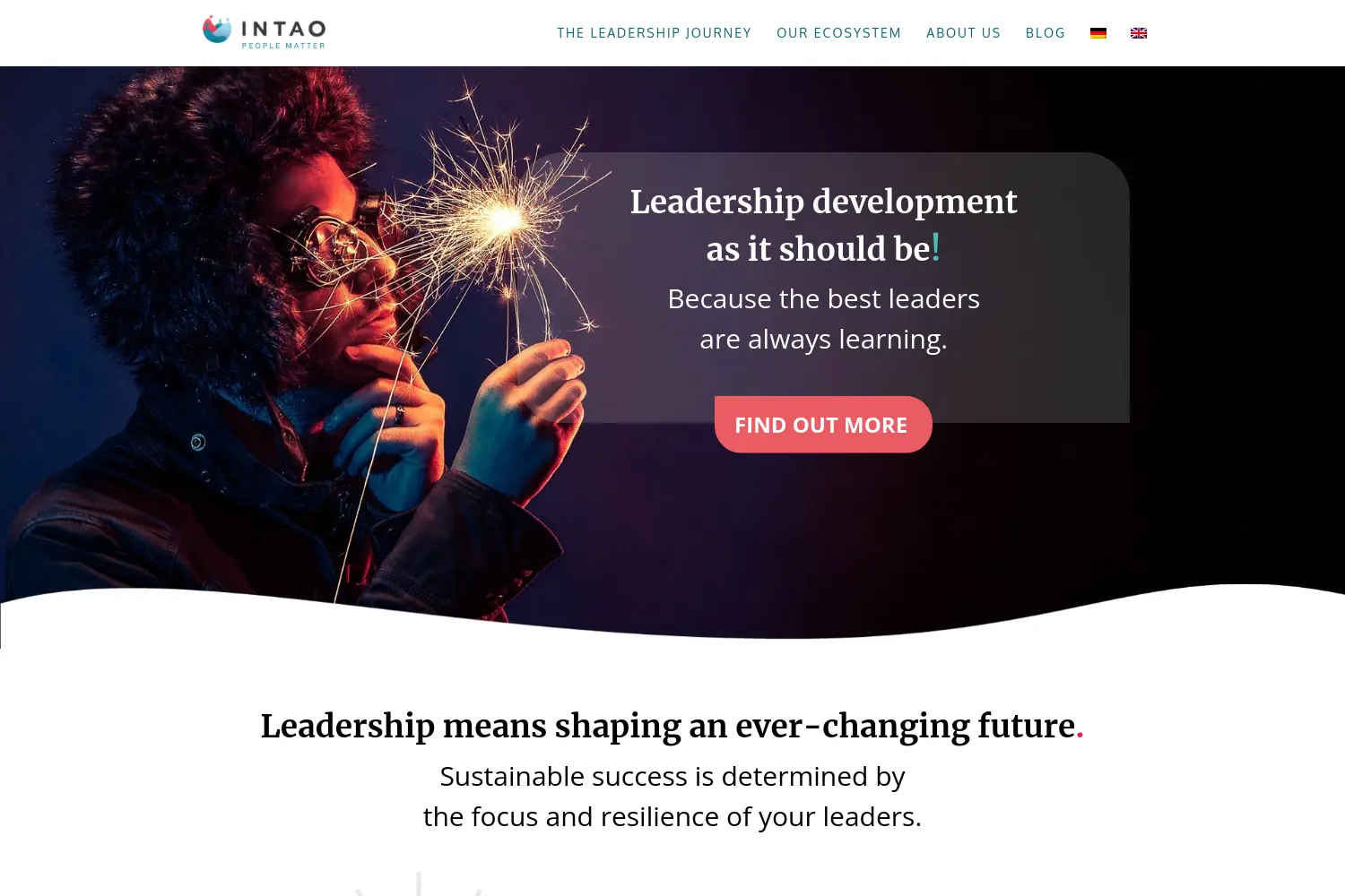 Website der Firma T-shaped Learning Solutions GmbH