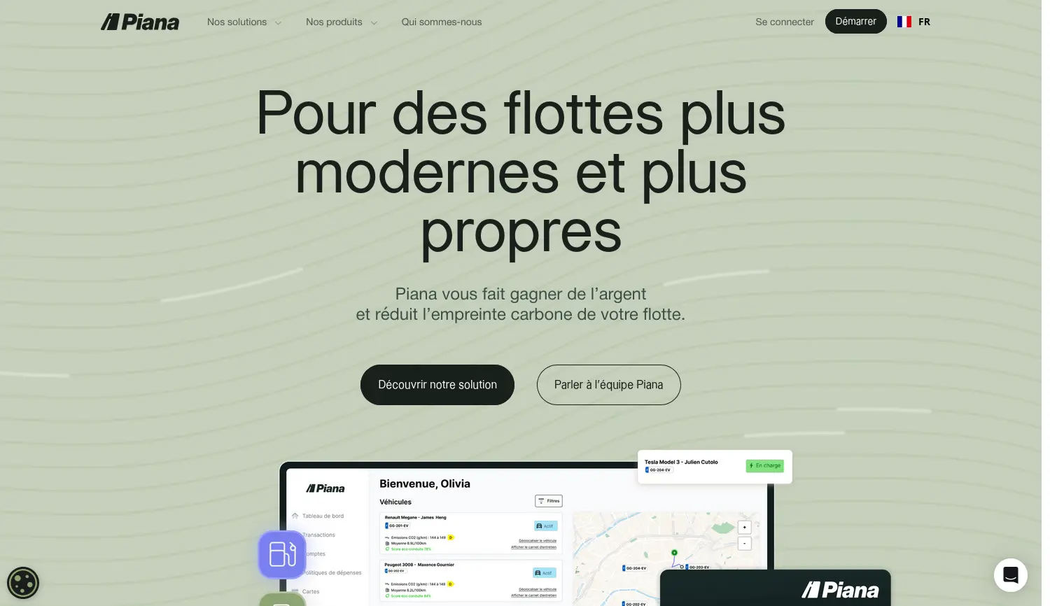 Website der Firma Piana