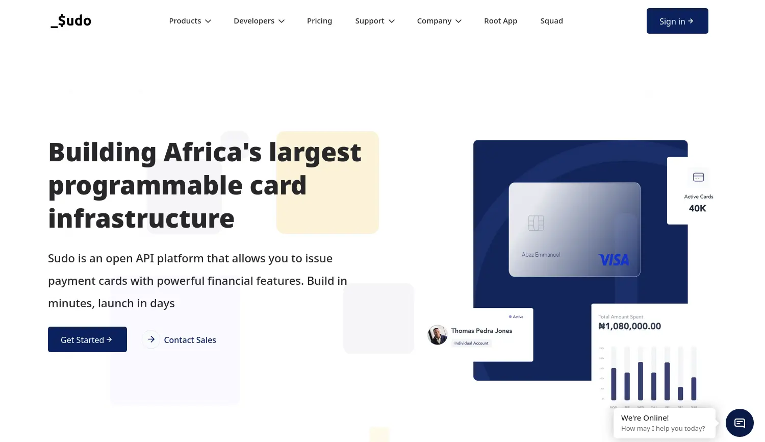 Website der Firma Sudo Africa, Inc