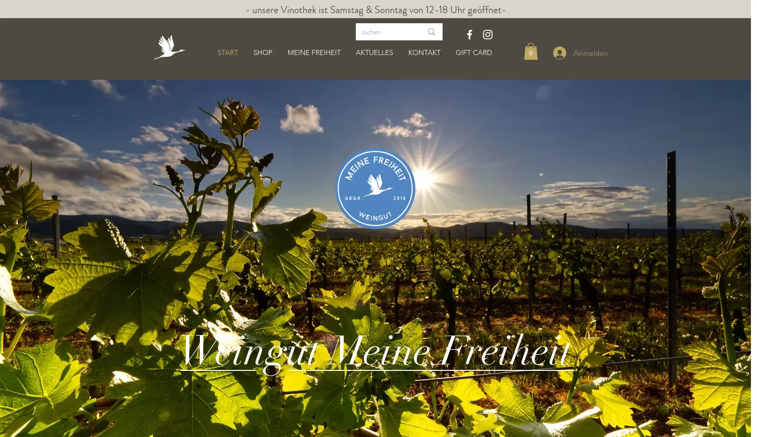 Website der Firma PVM AG