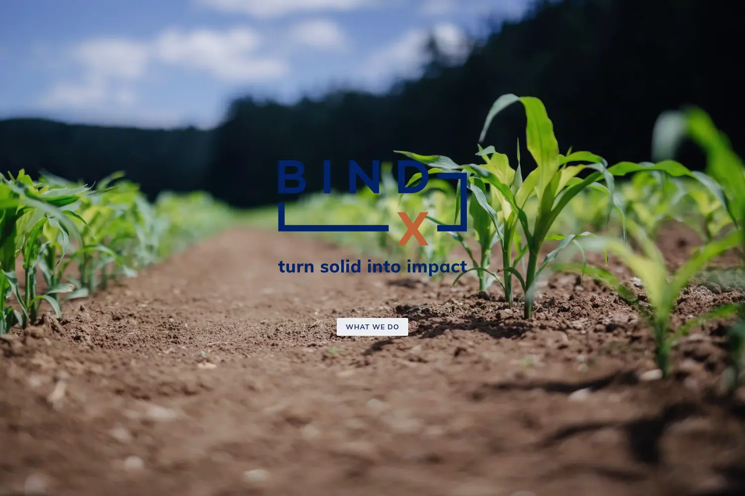 Website der Firma Dust BioSolutions GmbH