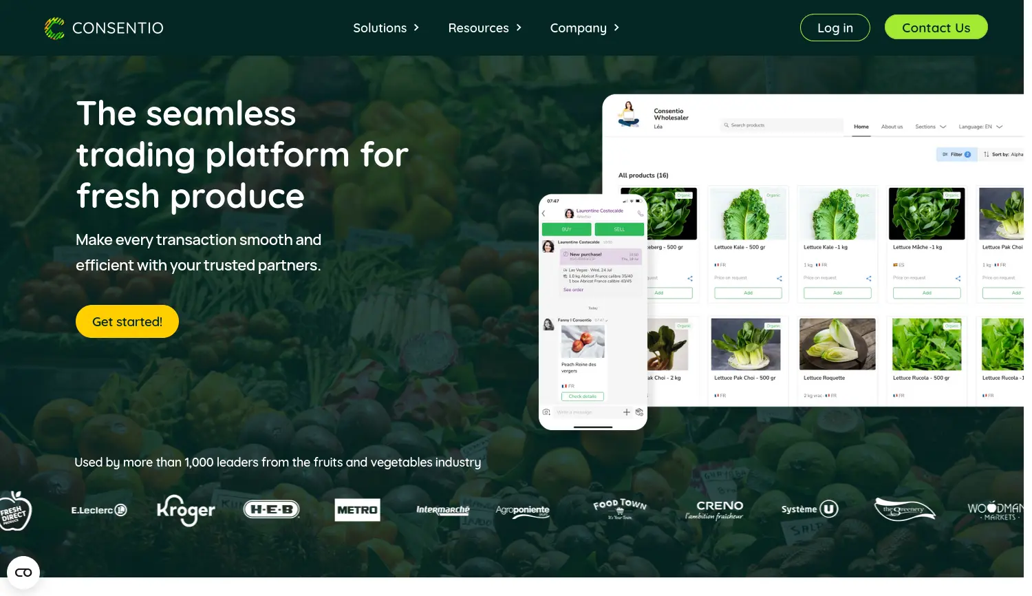 Website der Firma Consentio